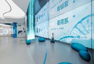 杭州液压高速纸碟机哪家好